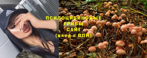 каннабис Аркадак