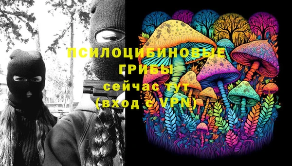 прущая мука Арсеньев