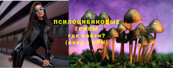 прущая мука Арсеньев