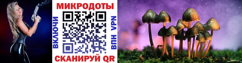 Галлюциногенные грибы ЛСД  купить закладку  Рудня 